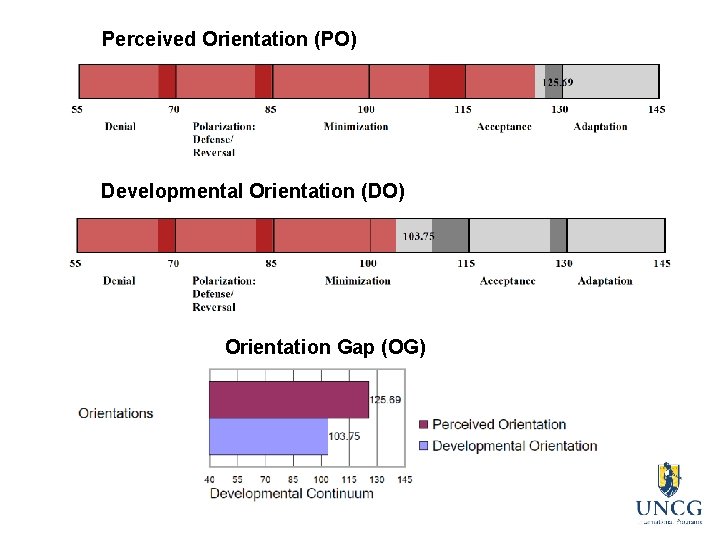 Perceived Orientation (PO) Developmental Orientation (DO) Orientation Gap (OG) 