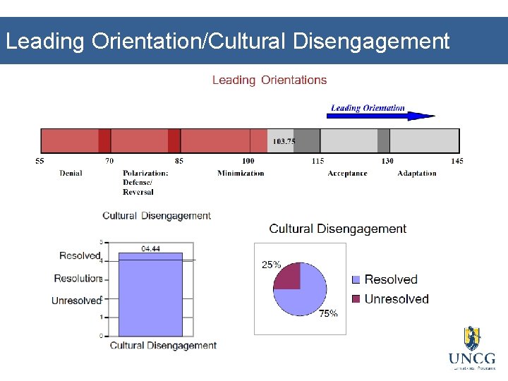 Leading Orientation/Cultural Disengagement 