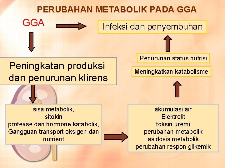 PERUBAHAN METABOLIK PADA GGA ` Penurunan ekskresi Infeksi dan fungsi penyembuhan penurunan fungsi mendadak