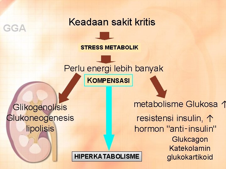 GGA Keadaan sakit kritis STRESS METABOLIK Perlu energi lebih banyak KOMPENSASI Glikogenolisis Glukoneogenesis lipolisis