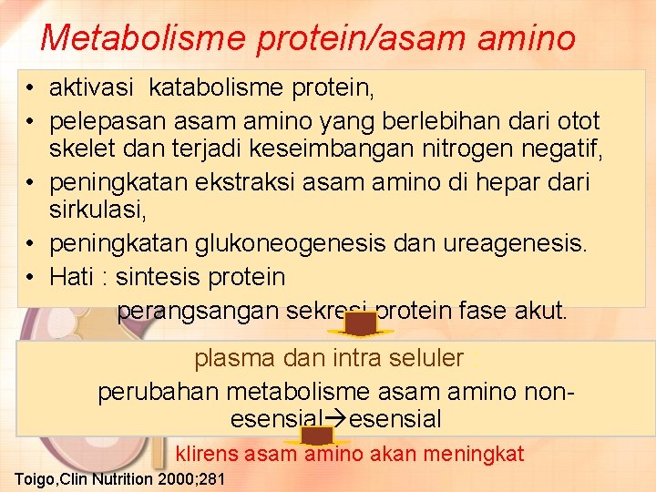 Metabolisme protein/asam amino • aktivasi katabolisme protein, • pelepasan asam amino yang berlebihan dari
