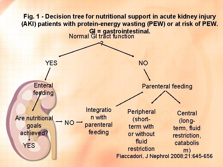 Fig. 1 - Decision tree for nutritional support in acute kidney injury (AKI) patients