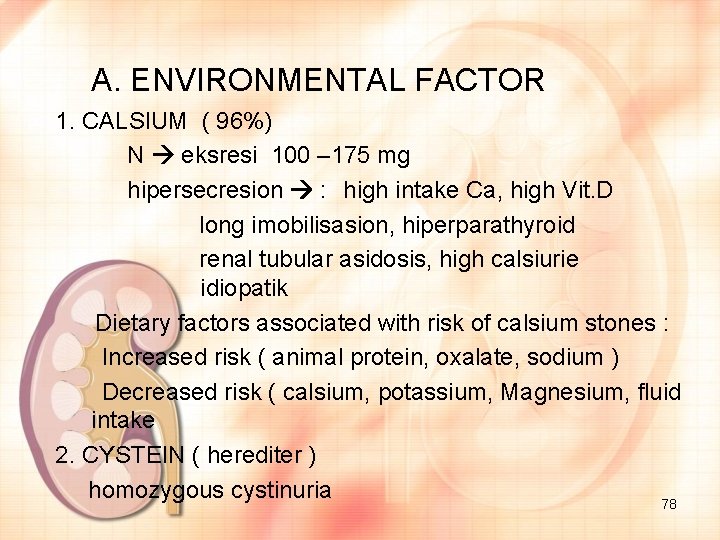 A. ENVIRONMENTAL FACTOR 1. CALSIUM ( 96%) N eksresi 100 – 175 mg hipersecresion