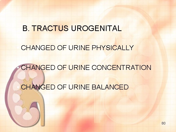 B. TRACTUS UROGENITAL • CHANGED OF URINE PHYSICALLY • CHANGED OF URINE CONCENTRATION •