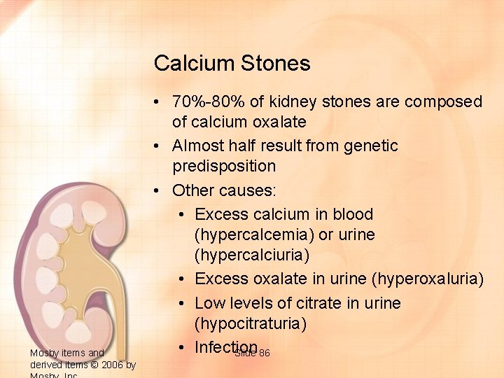 Calcium Stones Mosby items and derived items © 2006 by • 70%-80% of kidney
