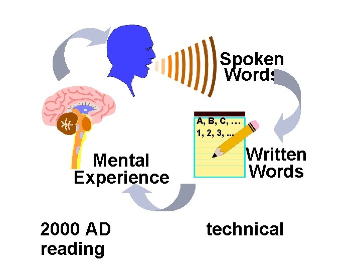 Spoken Words A, B, C, … 1, 2, 3, . . . Mental Experience