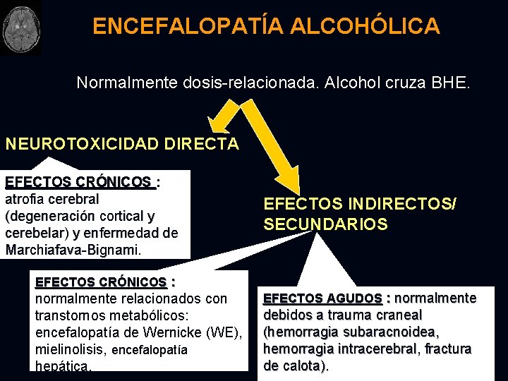 ENCEFALOPATÍA ALCOHÓLICA Normalmente dosis-relacionada. Alcohol cruza BHE. NEUROTOXICIDAD DIRECTA EFECTOS CRÓNICOS : atrofia cerebral