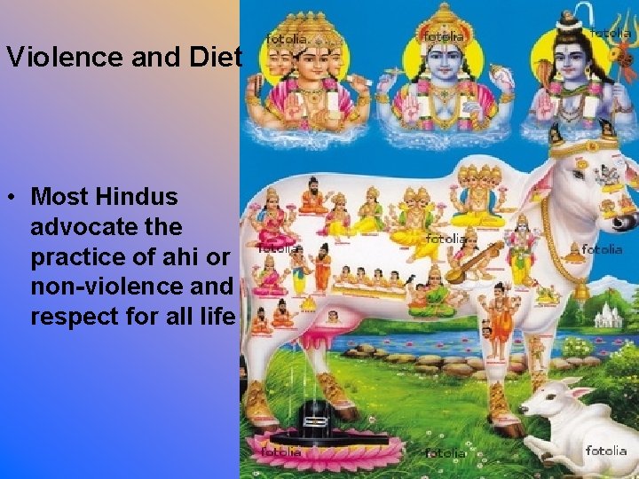 Violence and Diet • Most Hindus advocate the practice of ahi or non-violence and