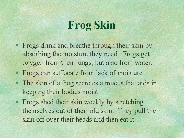 Frog Skin § Frogs drink and breathe through their skin by absorbing the moisture