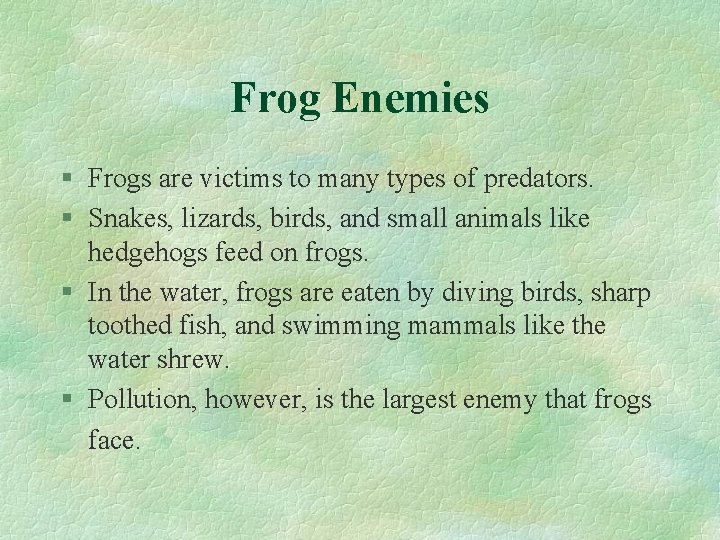 Frog Enemies § Frogs are victims to many types of predators. § Snakes, lizards,