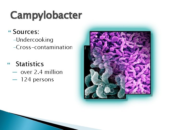 Campylobacter Sources: -Undercooking -Cross-contamination Statistics — over 2. 4 million — 124 persons 