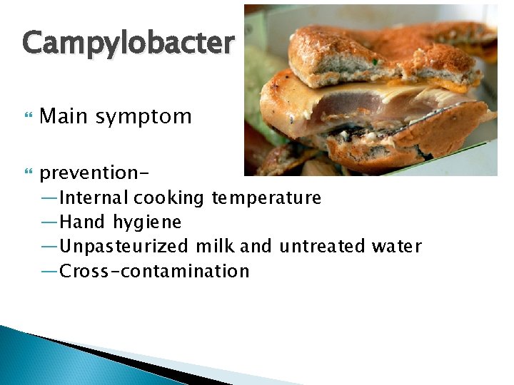 Campylobacter Main symptom prevention—Internal cooking temperature —Hand hygiene —Unpasteurized milk and untreated water —Cross-contamination