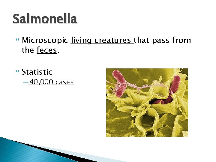 Salmonella Microscopic living creatures that pass from the feces. Statistic — 40, 000 cases