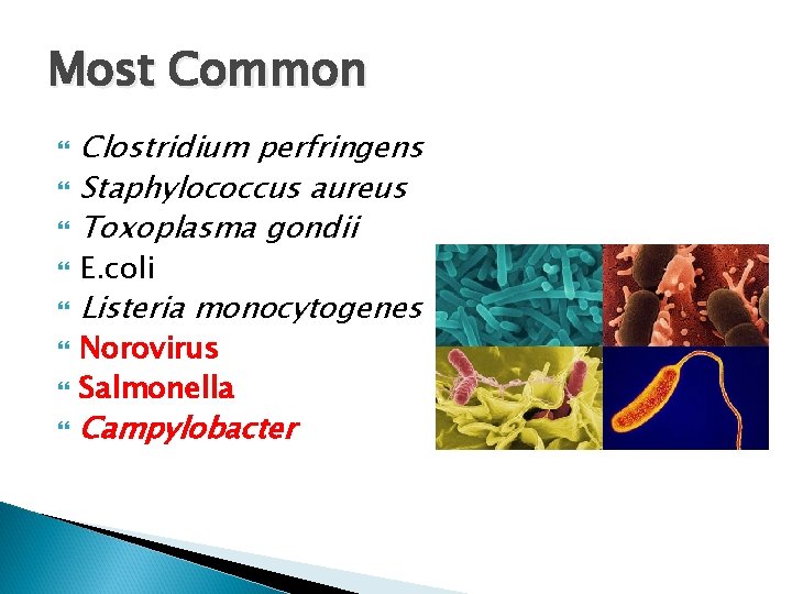 Most Common Clostridium perfringens Staphylococcus aureus Toxoplasma gondii E. coli Listeria monocytogenes Norovirus Salmonella