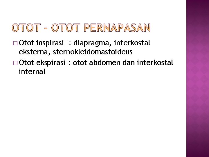 � Otot inspirasi : diapragma, interkostal eksterna, sternokleidomastoideus � Otot ekspirasi : otot abdomen