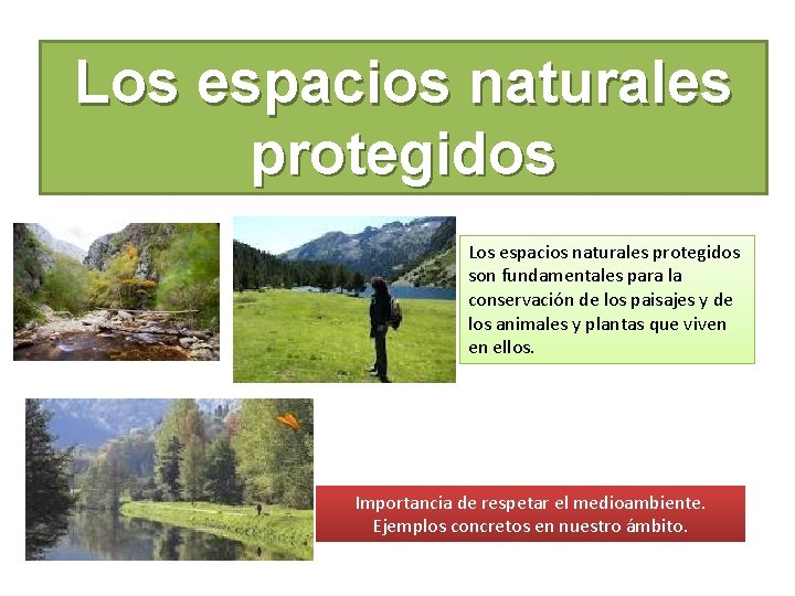 Los espacios naturales protegidos son fundamentales para la conservación de los paisajes y de