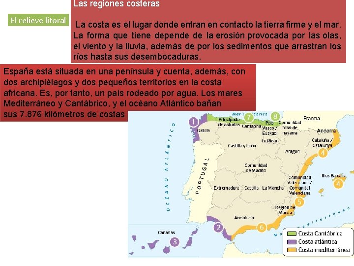 Las regiones costeras El relieve litoral La costa es el lugar donde entran en