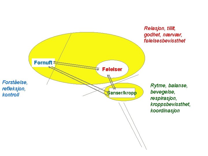 Relasjon, tillit, godhet, nærvær, følelsesbevissthet Fornuft Følelser Forståelse, refleksjon, kontroll Sanser/kropp Rytme, balanse, bevegelse,