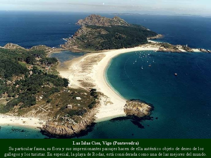 Las Islas Cíes, Vigo (Pontevedra) Su particular fauna, su flora y sus impresionantes paisajes