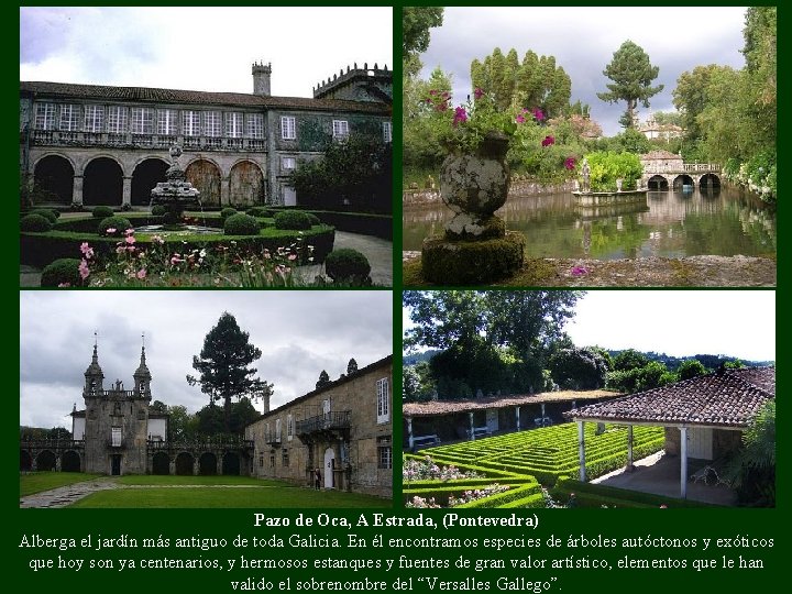 Pazo de Oca, A Estrada, (Pontevedra) Alberga el jardín más antiguo de toda Galicia.