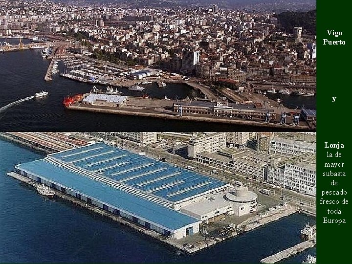 Vigo Puerto y Lonja la de mayor subasta de pescado fresco de toda Europa