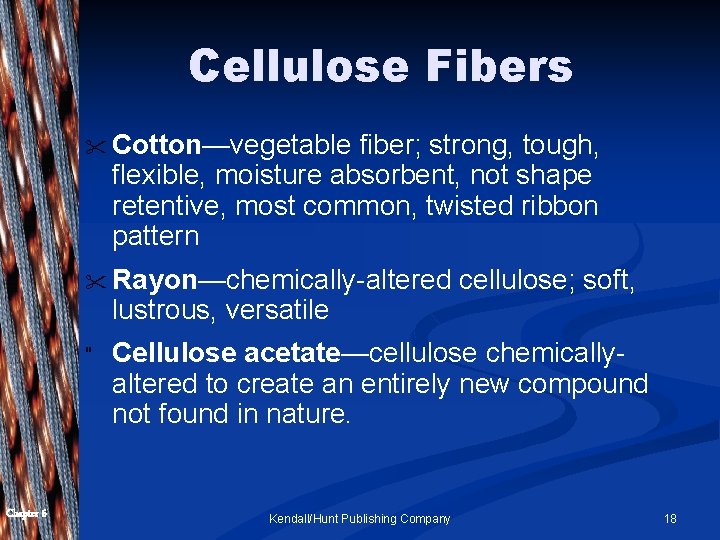 Cellulose Fibers " Cotton—vegetable fiber; strong, tough, flexible, moisture absorbent, not shape retentive, most