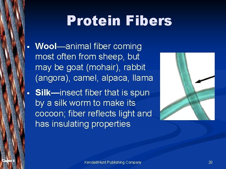 Protein Fibers Chapter 6 § Wool—animal fiber coming most often from sheep, but may