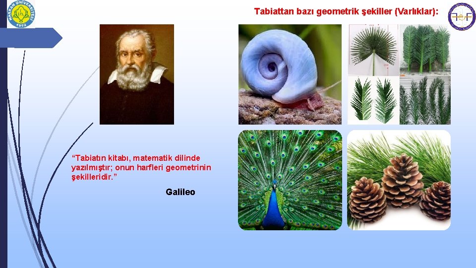 Tabiattan bazı geometrik şekiller (Varlıklar): “Tabiatın kitabı, matematik dilinde yazılmıştır; onun harfleri geometrinin şekilleridir.