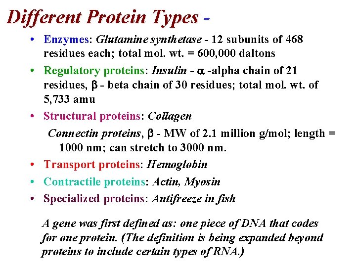Different Protein Types • Enzymes: Glutamine synthetase - 12 subunits of 468 residues each; Different Protein Types • Enzymes: Glutamine synthetase - 12 subunits of 468 residues each;