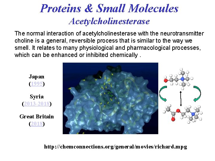 Proteins & Small Molecules Acetylcholinesterase The normal interaction of acetylcholinesterase with the neurotransmitter choline Proteins & Small Molecules Acetylcholinesterase The normal interaction of acetylcholinesterase with the neurotransmitter choline
