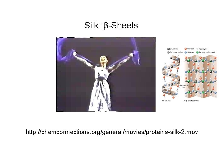Silk: β-Sheets http: //chemconnections. org/general/movies/proteins-silk-2. mov Silk: β-Sheets http: //chemconnections. org/general/movies/proteins-silk-2. mov