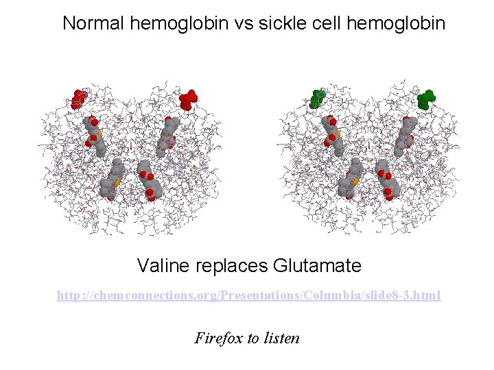 Normal hemoglobin vs sickle cell hemoglobin Valine replaces Glutamate http: //chemconnections. org/Presentations/Columbia/slide 8 -3. Normal hemoglobin vs sickle cell hemoglobin Valine replaces Glutamate http: //chemconnections. org/Presentations/Columbia/slide 8 -3.