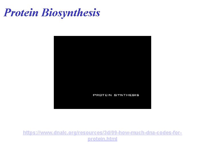 Protein Biosynthesis https: //www. dnalc. org/resources/3 d/09 -how-much-dna-codes-forprotein. html Protein Biosynthesis https: //www. dnalc. org/resources/3 d/09 -how-much-dna-codes-forprotein. html