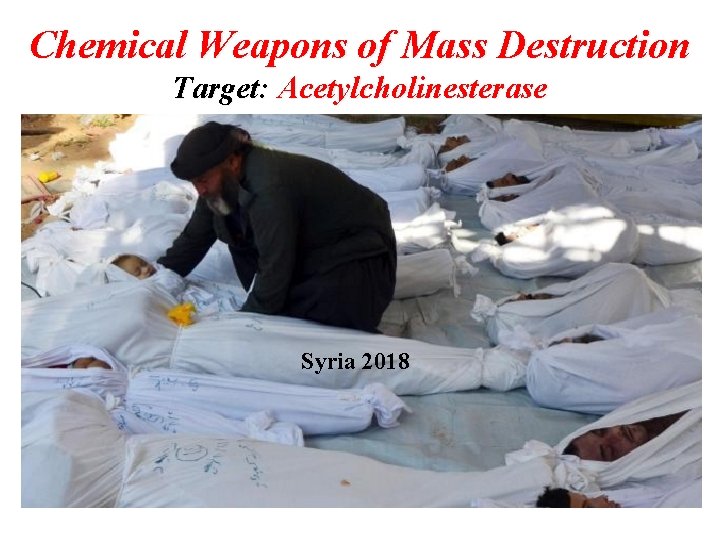 Chemical Weapons of Mass Destruction Target: Acetylcholinesterase Attacks: Japan (1995) Syria (2013 -2018) Syria Chemical Weapons of Mass Destruction Target: Acetylcholinesterase Attacks: Japan (1995) Syria (2013 -2018) Syria