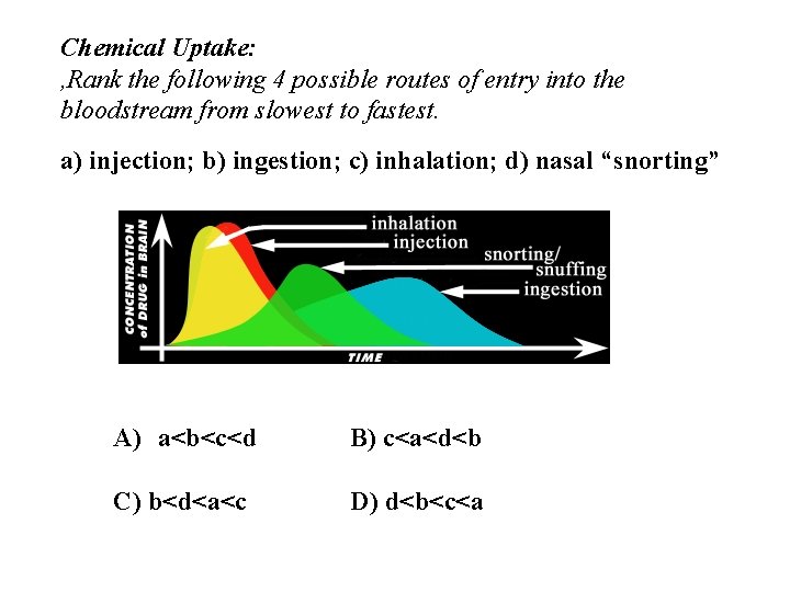 Chemical Uptake: , Rank the following 4 possible routes of entry into the bloodstream Chemical Uptake: , Rank the following 4 possible routes of entry into the bloodstream