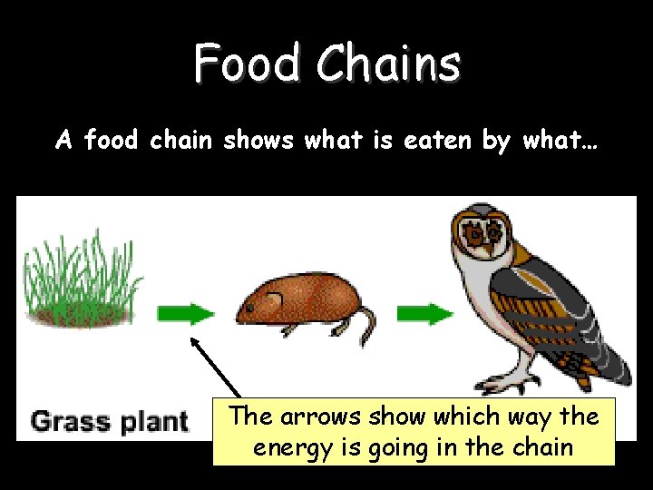 Food Chains A food chain shows what is eaten by what… The arrows show