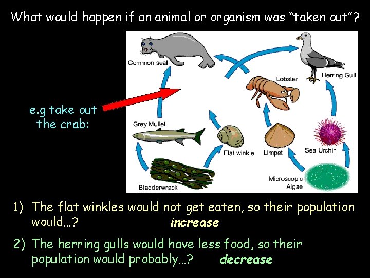 What would happen if an animal or organism was “taken out”? e. g take