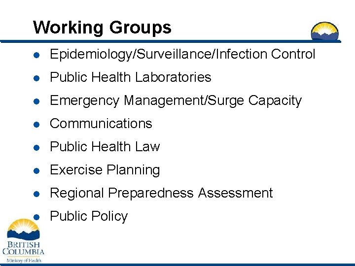 Working Groups l Epidemiology/Surveillance/Infection Control l Public Health Laboratories l Emergency Management/Surge Capacity l