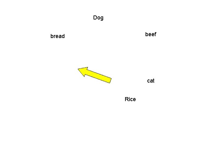 Dog beef bread cat Rice 
