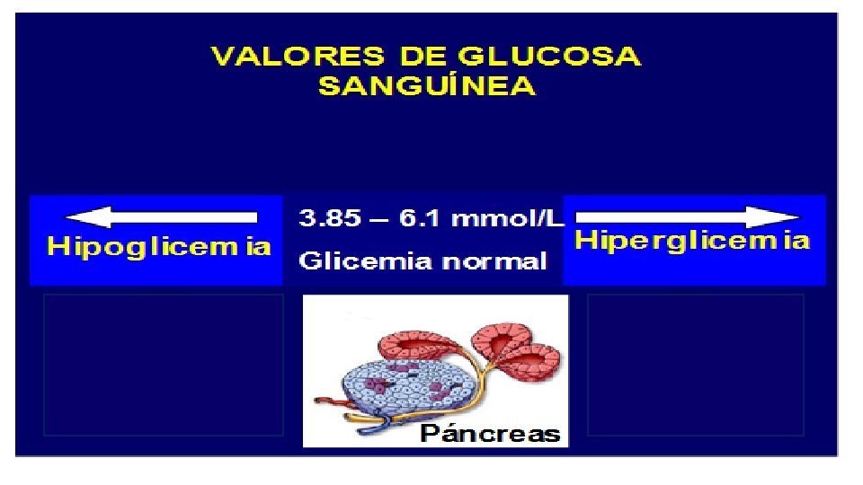 Determinación De Glucosa En Sangre Fundamento slidetodoc.com