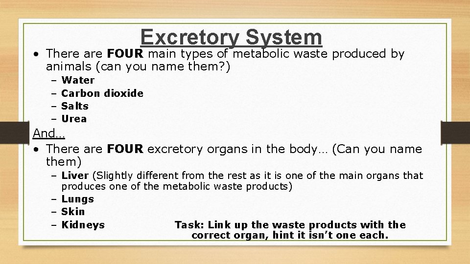 Excretory System • There are FOUR main types of metabolic waste produced by animals