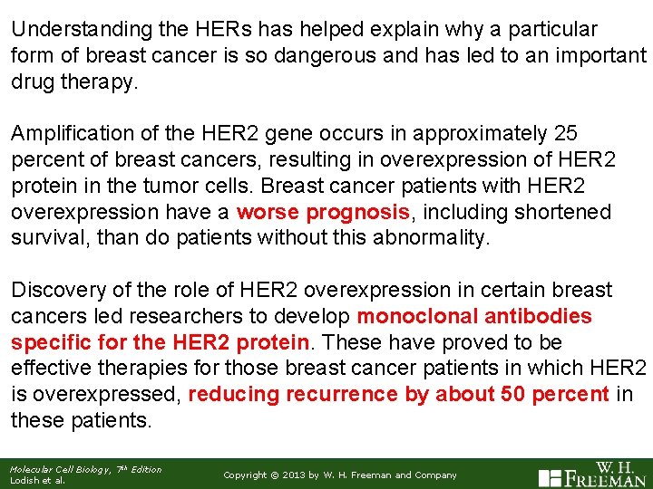 Understanding the HERs has helped explain why a particular form of breast cancer is