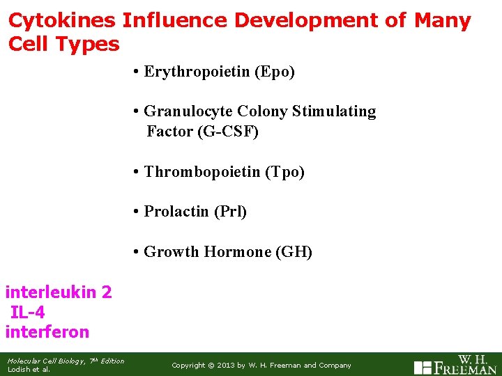 Cytokines Influence Development of Many Cell Types • Erythropoietin (Epo) • Granulocyte Colony Stimulating
