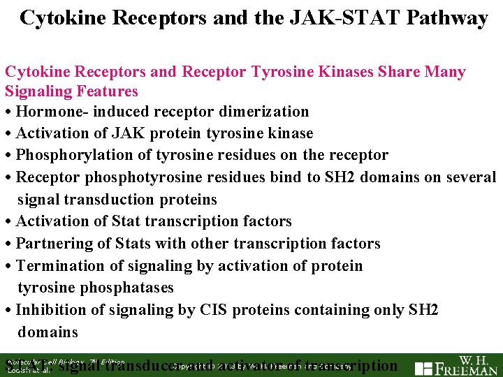Cytokine Receptors and the JAK-STAT Pathway Cytokine Receptors and Receptor Tyrosine Kinases Share Many