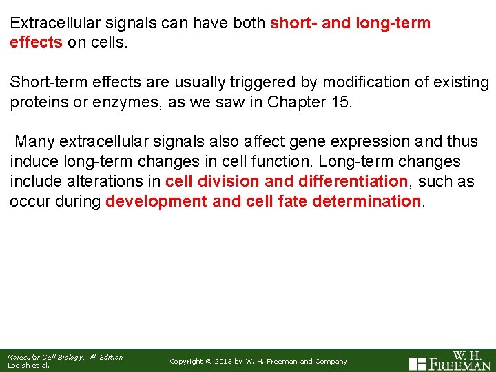 Extracellular signals can have both short- and long-term effects on cells. Short-term effects are