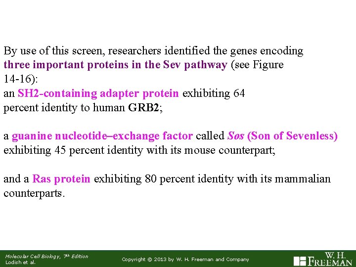 By use of this screen, researchers identified the genes encoding three important proteins in