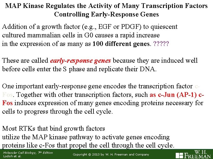 MAP Kinase Regulates the Activity of Many Transcription Factors Controlling Early-Response Genes Addition of