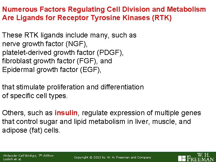 Numerous Factors Regulating Cell Division and Metabolism Are Ligands for Receptor Tyrosine Kinases (RTK)