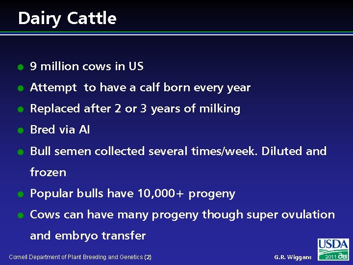 Dairy Cattle l 9 million cows in US l Attempt to have a calf