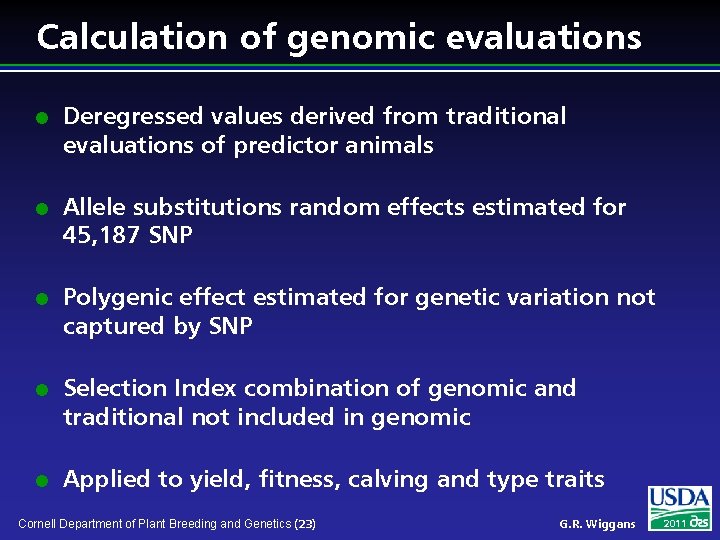 Calculation of genomic evaluations l l l Deregressed values derived from traditional evaluations of